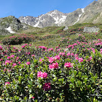 Photo n°1 de l'avis de Franca.i fait le 11/07/2019 à 17:05 sur le  Lazaunhütte à Maso Corto