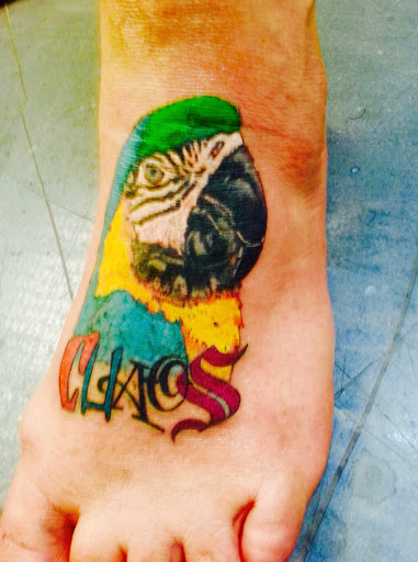 Explore dolphin tattoo ideas for females, creative tattoo ideas in Lake Havasu City, available at 303Tattoo