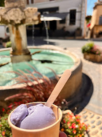 Plats et boissons du Café Best Lavender ice cream ever à Valensole - n°3