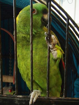 Toy Store «The Nature And Discovery Store,Inc.», reviews and photos, 19 Hughes St, New Ringgold, PA 17960, USA