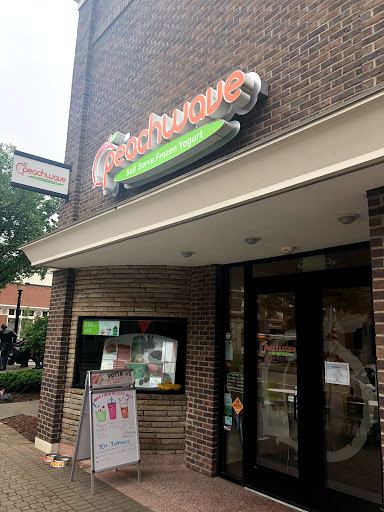 Frozen Yogurt Shop «Peachwave Frozen Yogurt & Gelato», reviews and photos, 6 W 8th St, Holland, MI 49423, USA