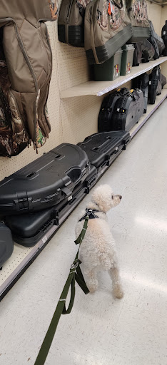 Sporting Goods Store «Academy Sports + Outdoors», reviews and photos, 2350 Gallatin Pike N, Madison, TN 37115, USA