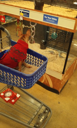 Pet Supply Store «PetSmart», reviews and photos, 4200 Derry St, Harrisburg, PA 17111, USA