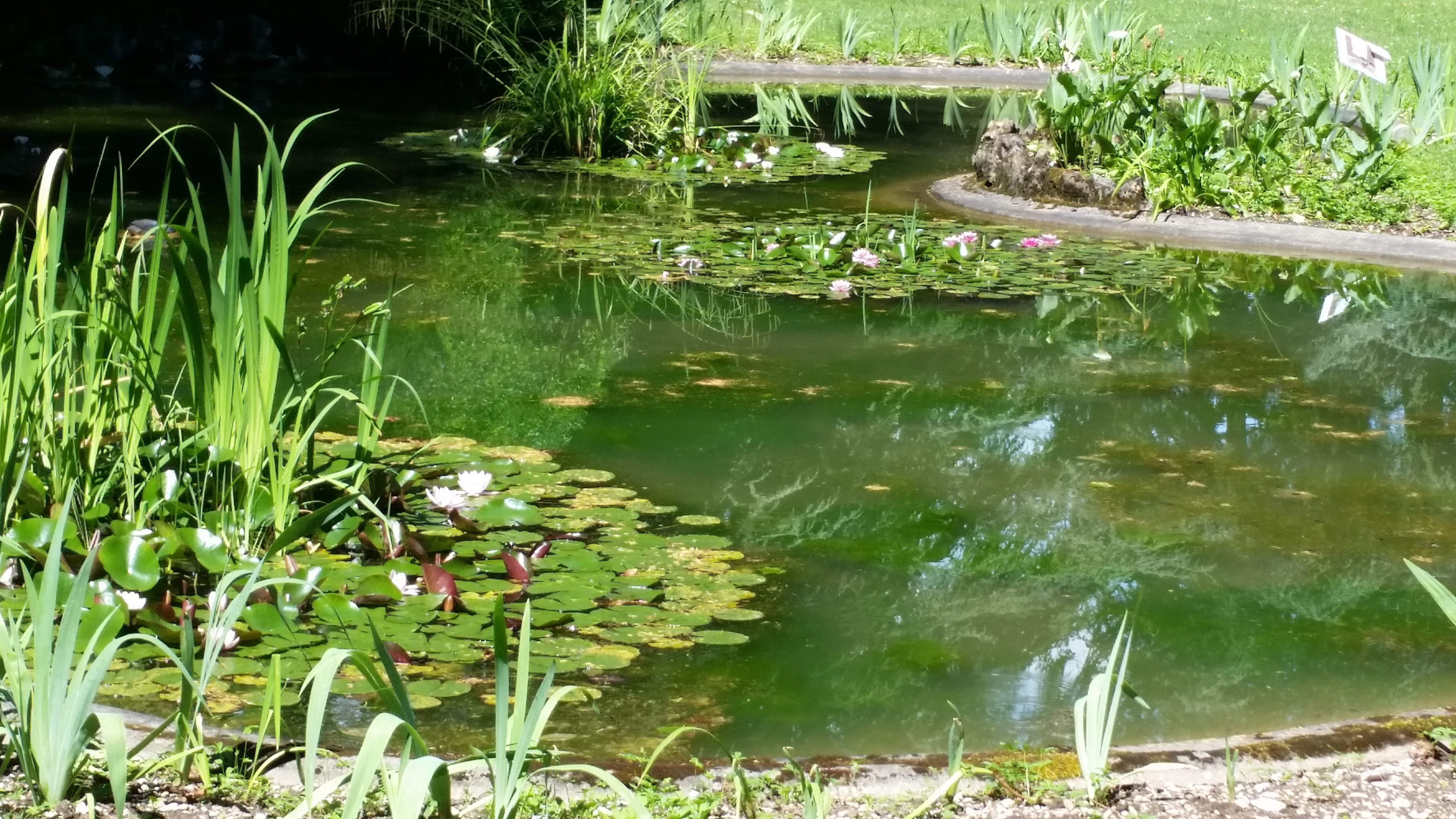 Photo n° 1 de l'avis de Fernand.i fait le 23/06/2019 à 09:49