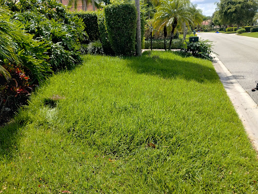 Photo of Flo Cuts Landscaping Tree Trimming and Pressure Cleaning