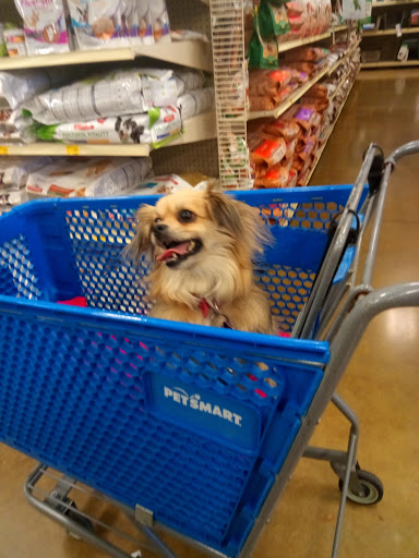 Pet Supply Store «PetSmart», reviews and photos, 1345 Wendy Ct, Spring Hill, FL 34607, USA