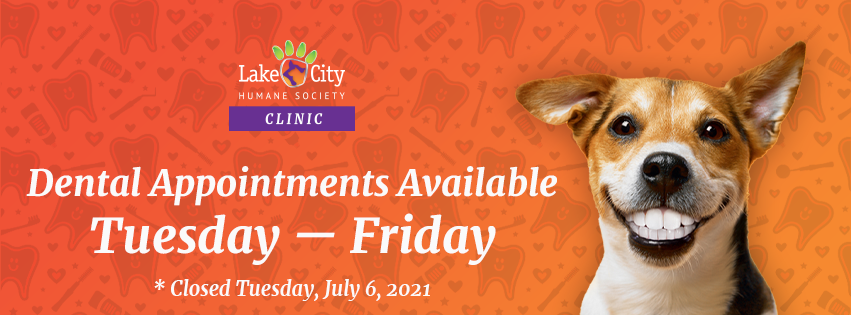 Lake City Humane Society Clinic