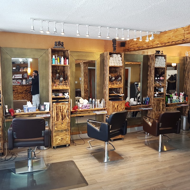 Arshia Hair Salon & Spa