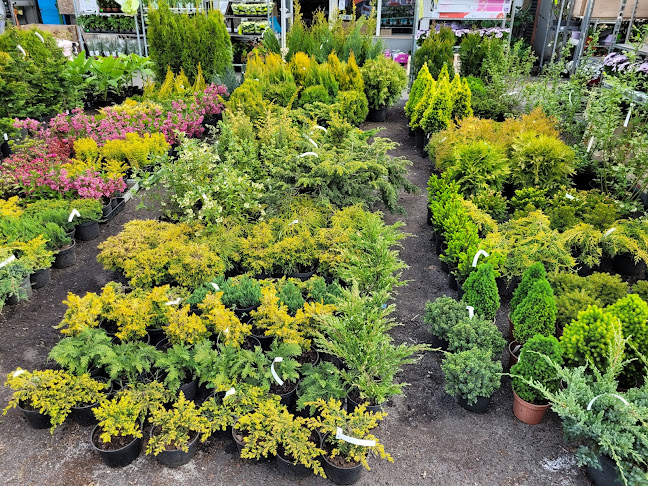 Comentarii opinii despre Giełda kwiatowa