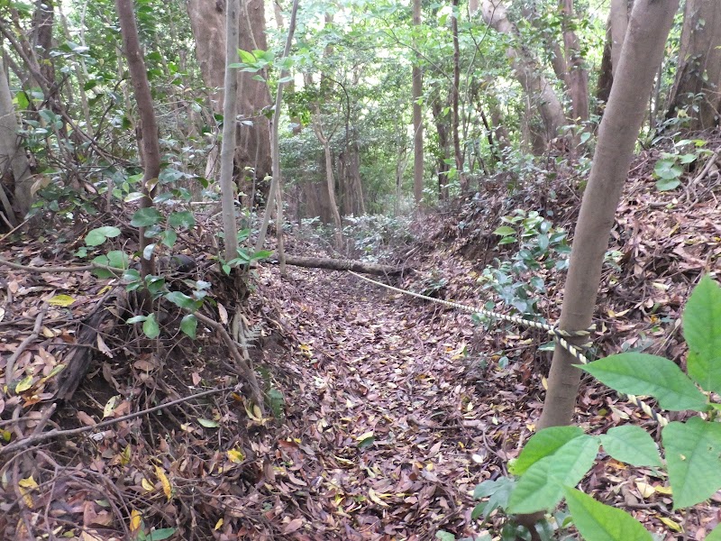 御塔山古墳(県指定史跡)