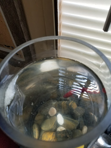 Pet Supply Store «PetSmart», reviews and photos, 130 Junction Drive, Glen Carbon, IL 62034, USA