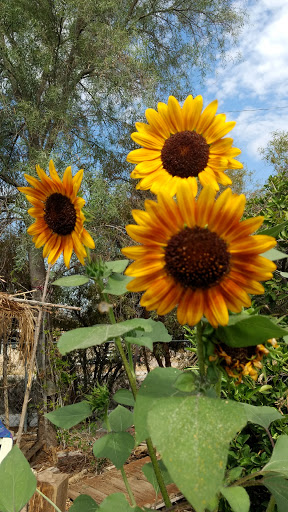 Nature Preserve «Phoenix Mountains Preserve», reviews and photos, 2701 E Squaw Peak Drive, Phoenix, AZ 85028, USA