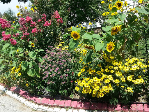 Movie Theater «Cross County Multiplex Cinemas», reviews and photos, 2 South Dr, Yonkers, NY 10704, USA