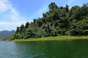 Naujan Lake image