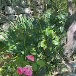 Photo n°7 de l'avis de Taner.g fait le 15/06/2023 à 16:00 sur le  Tenuta di Venere Luxury Rooms à Porto Venere