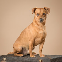 Lenora Stein Photography - Photo 9 - Car repair in Spring, TX, The Woodlands