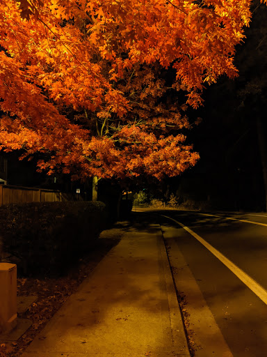 Golf Course «Chehalem Glenn Golf Course», reviews and photos, 4501 E Fernwood Rd, Newberg, OR 97132, USA