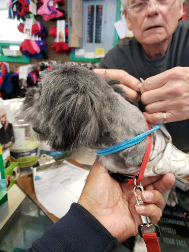 Pet Store «Animal Kingdom», reviews and photos, 436 Main St, East Orange, NJ 07018, USA