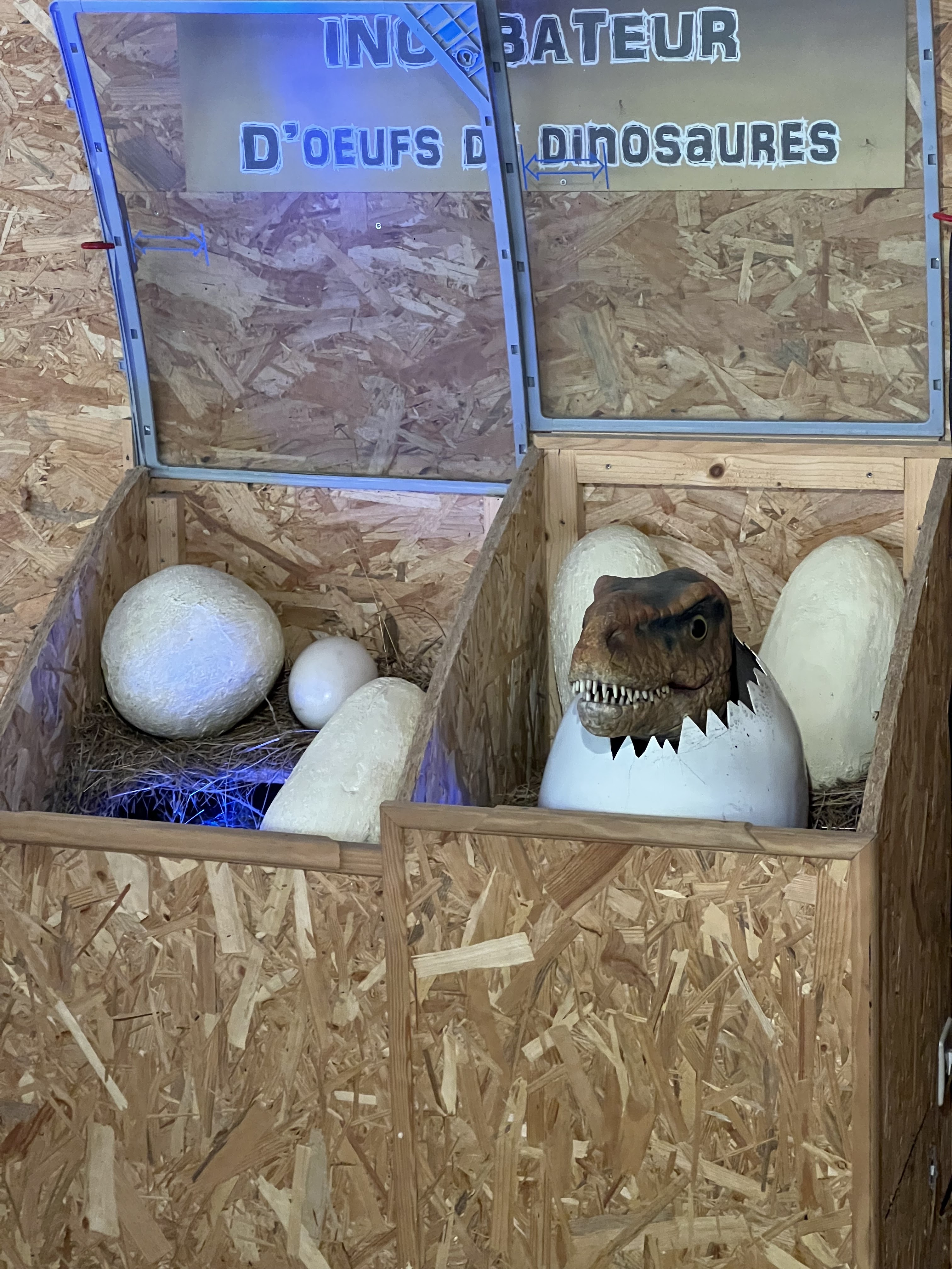 Photo n° 3 de l'avis de Bry_44n. fait le 04/08/2023 à 17:00