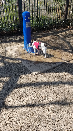 Park «Union Street Dog Park», reviews and photos, 59 Fair St, New Haven, CT 06511, USA