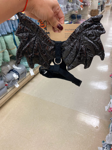 Department Store «HomeGoods», reviews and photos, 1425 Bay Area Blvd, Webster, TX 77598, USA