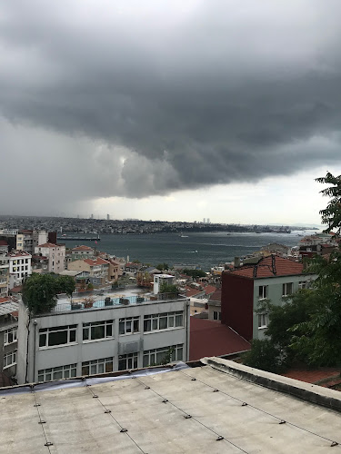 My House - İstanbul