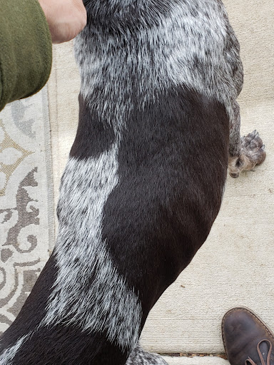 Pet Supply Store «Petco Animal Supplies», reviews and photos, 16434 N Marketplace Blvd, Nampa, ID 83651, USA