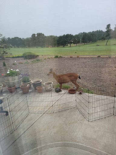 Hardware Store «WALDPORT ACE HARDWARE», reviews and photos, 340 Alsea Hwy, Waldport, OR 97394, USA