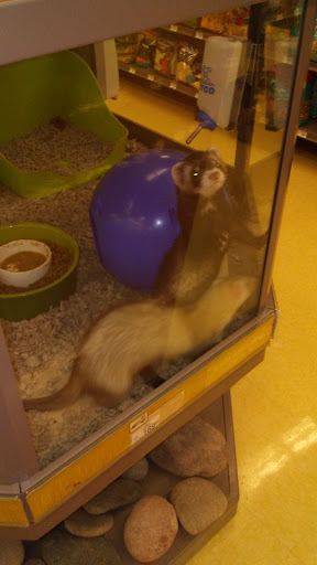 Supermarket «ALDI», reviews and photos, 400 Englar Rd b, Westminster, MD 21157, USA