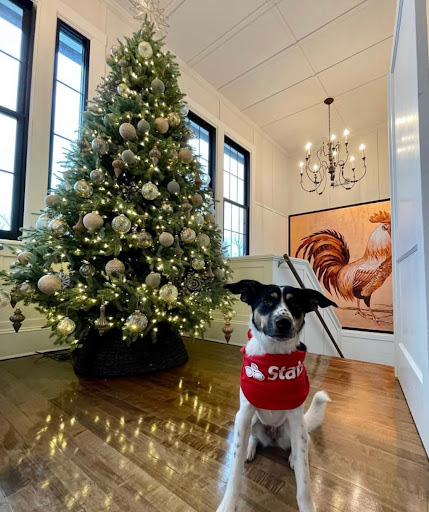 Insurance Agency «Anthony Raggi - State Farm Insurance Agent», reviews and photos