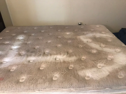 Carpet Cleaning Service «Elite Carpet Cleaning Service», reviews and photos, 29031 Glenarden St, Farmington Hills, MI 48334, USA