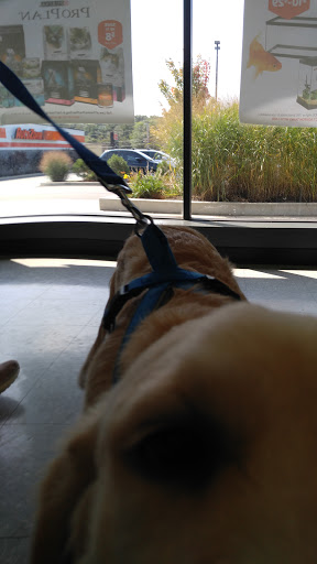 Pet Supply Store «Pet Supplies Plus», reviews and photos, 646 Long Hill Rd, Groton, CT 06340, USA