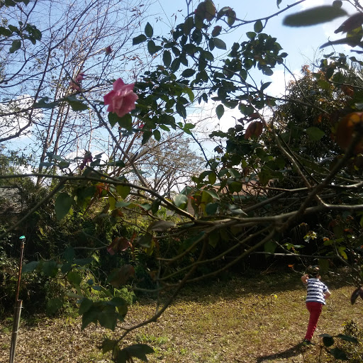 Farm «Sweetwater Organic Community Farm», reviews and photos, 6942 W Comanche Ave, Tampa, FL 33634, USA