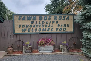 FAWN-DOE-ROSA Wildlife Educational Park image
