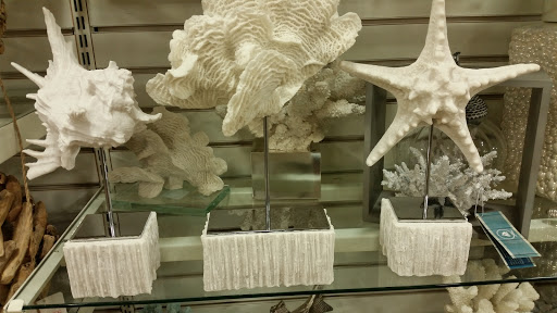 Department Store «HomeGoods», reviews and photos, 309 Newbury St, Danvers, MA 01923, USA