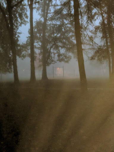 Park «Shadywood Park», reviews and photos, 535 NE 24th Ave, Hillsboro, OR 97124, USA