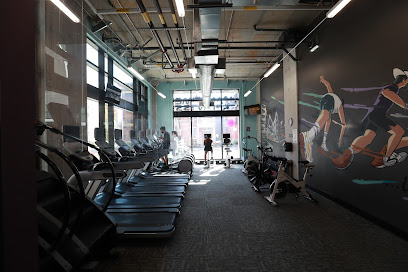 Anytime Fitness - 281 Laurier Ave E #261, Ottawa, ON K1N 6P7, Canada