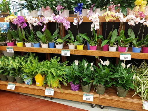 Supermarket «Farm Fresh», reviews and photos, 115 Norge Ln, Williamsburg, VA 23188, USA