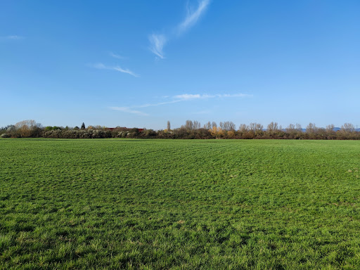 Golf Course Heddesheim Gut Neuzenhof