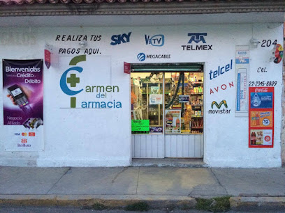 Farmacia Del Carmen, , San Jerónimo Ocotitlán