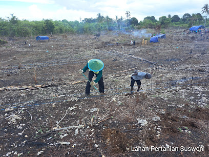 Lokasi Kebun Bahan Pangan Prov. Papua barat