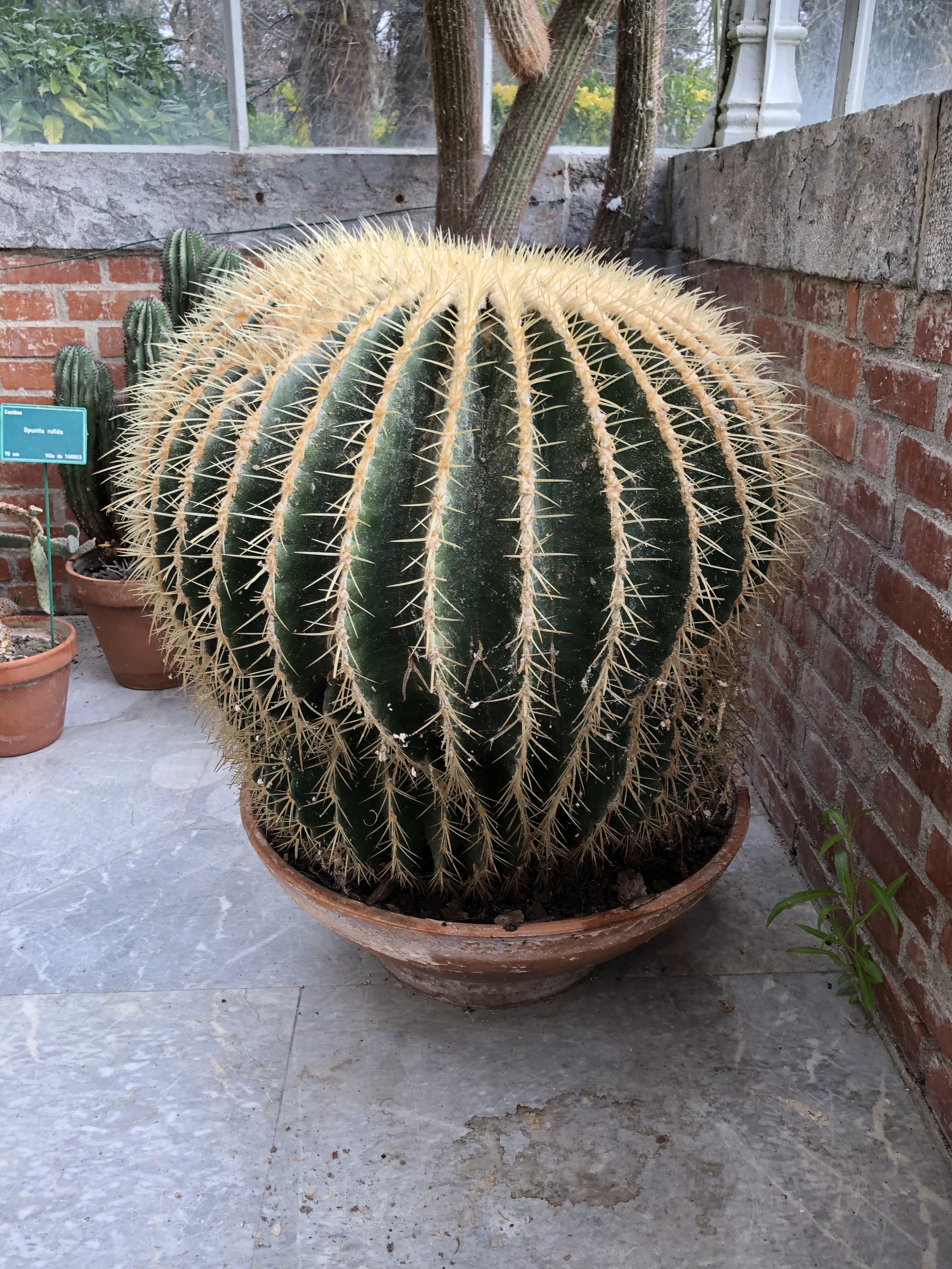 Photo n° 11 de l'avis de Philippe.a fait le 18/12/2018 à 14:27