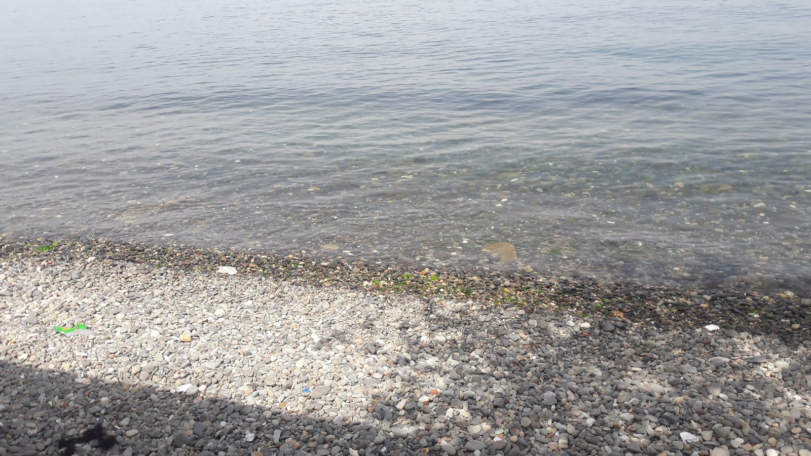 Φωτογραφία του Cinarcik beach II παροχές περιοχής