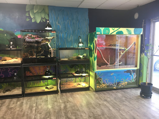 Pet Store «Tye-Dyed Iguana - Reptiles», reviews and photos, 1905 W U.S. 50, Fairview Heights, IL 62208, USA