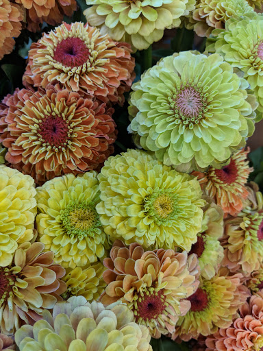 Grocery Store «New Seasons Market Sellwood», reviews and photos, 1214 SE Tacoma St, Portland, OR 97202, USA