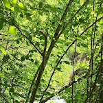 Photo n°1 de l'avis de Paolo.o fait le 17/05/2022 à 15:40 sur le  Farmhouse Mulino Elven à Baragazza