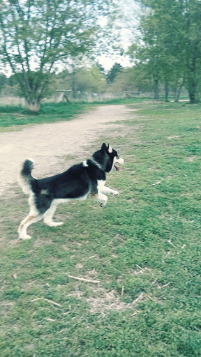 Dog Park «Bunker Hills Dog Park», reviews and photos, 1620 133rd Ave NW, Coon Rapids, MN 55448, USA