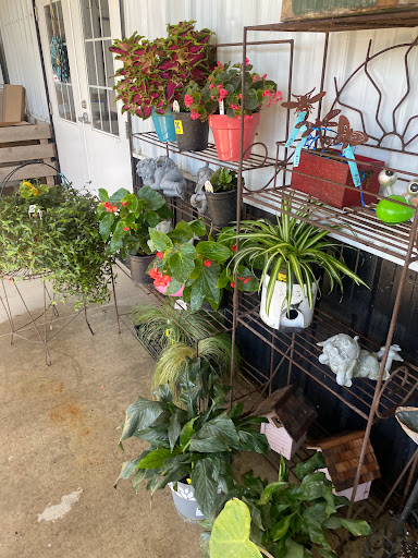 Produce Market «Kroul Farms», reviews and photos, 245 IA-1, Mt Vernon, IA 52314, USA