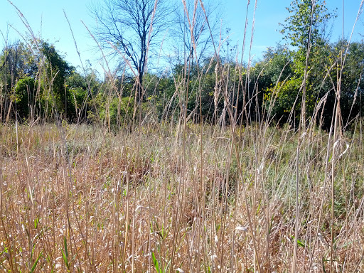 Nature Preserve «Rubio Woods», reviews and photos, W. Midlothian Turnpike, Midlothian, IL 60445, USA