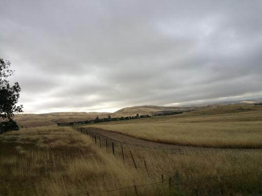 Livermore Self Storage image